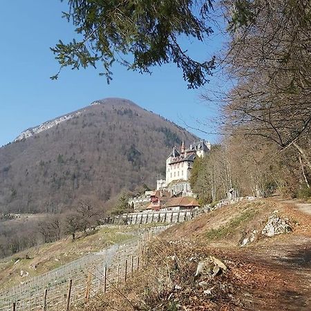 Charmant Appartement Lac D'Annecy / Ski - 6 Pers 芒通-圣贝尔纳 外观 照片