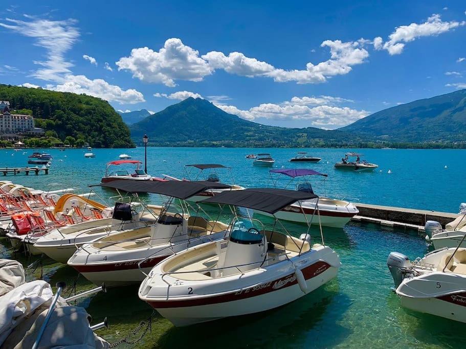 Charmant Appartement Lac D'Annecy / Ski - 6 Pers 芒通-圣贝尔纳 外观 照片