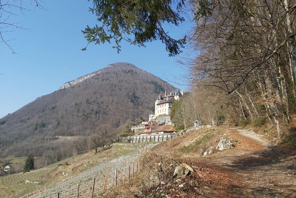 Charmant Appartement Lac D'Annecy / Ski - 6 Pers 芒通-圣贝尔纳 外观 照片